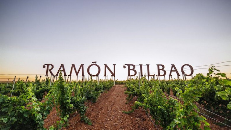 Viñedos de Bodegas Ramón Bilbao | BODEGAS RAMÓN ep vinedos de bodegas ramon bilbao