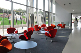 imagen 20231122123123 imagen 20231122123123