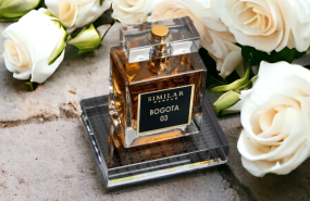 imagen 2 1 imagen 2 1