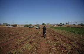 ep agricultores durante la recoleccion de patatas en una explotacion agricola en plena campana a 31 ep agricultores durante la recoleccion de patatas en una explotacion agricola en plena campana a 31