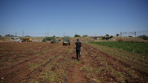 ep agricultores durante la recoleccion de patatas en una explotacion agricola en plena campana a 31