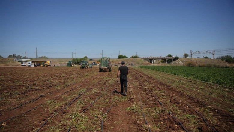 ep agricultores durante la recoleccion de patatas en una explotacion agricola en plena campana a 31 ep agricultores durante la recoleccion de patatas en una explotacion agricola en plena campana a 31