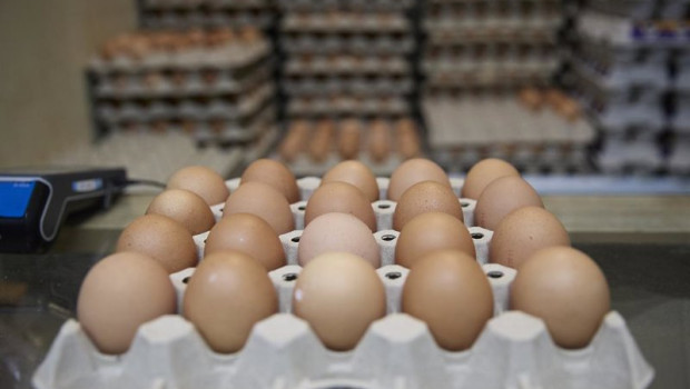 ep archivo   inprovo pone en marcha la nueva campana europea para revalorizar el huevo como alimento