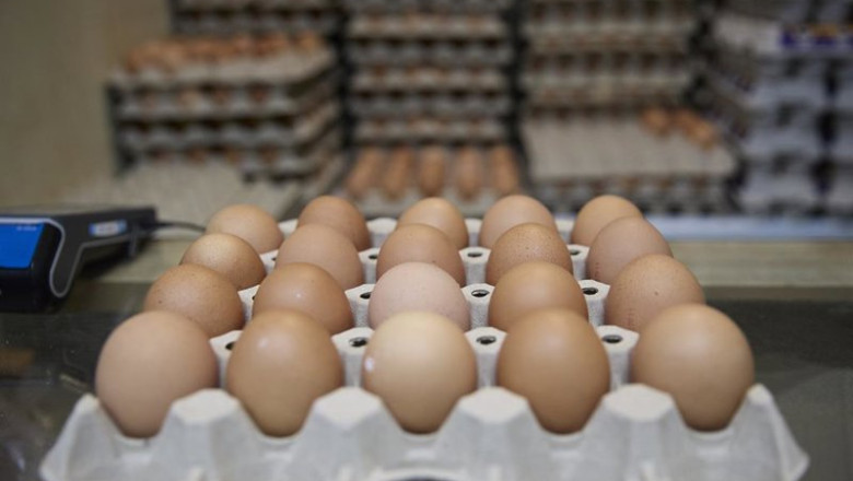 ep archivo   inprovo pone en marcha la nueva campana europea para revalorizar el huevo como alimento