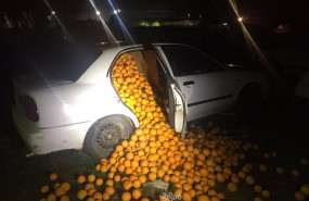 ep archivo   naranjas robadas intervenidas por la policia local