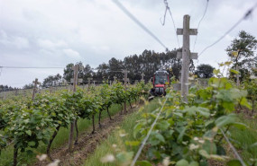 ep archivo un trabajador montado en un tractor trabaja en los vinedos de la empresa ep archivo un trabajador montado en un tractor trabaja en los vinedos de la empresa