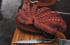 ep archivo   uno de los pulpos cocinados en la fiesta del pulpo celebrada en o carballino en orense