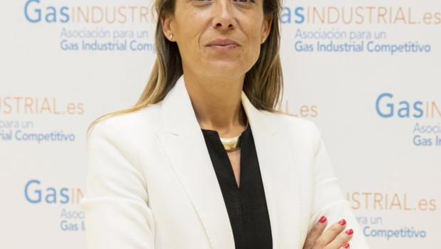 ep archivo   veronica rivire presidenta de gasindustrial 20260428175805