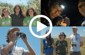 ep birdlife lanzan un gran hermano ornitologico para estudiar el comportamiento de algunas aves