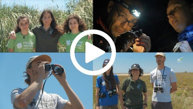 ep birdlife lanzan un gran hermano ornitologico para estudiar el comportamiento de algunas aves