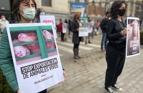 ep concentracion de igualdad animal frente al ministerio de agricultura pesca y alimentacion