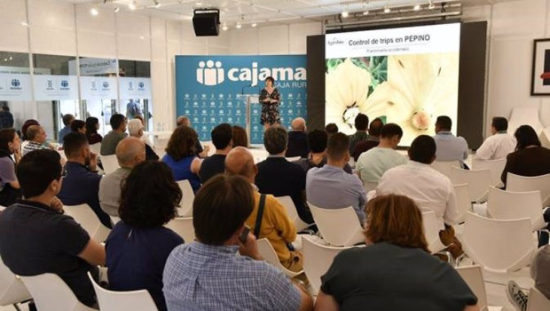 ep el agricultor conocera como combatir al thrips parvispinus en infoagro exhibition ep el agricultor conocera como combatir al thrips parvispinus en infoagro exhibition