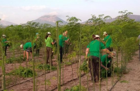 ep jovenes agricultores