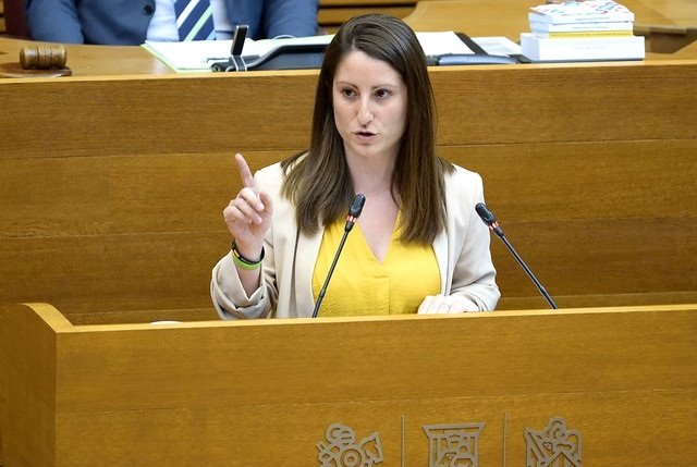ep la portavoz de vox en les corts valencianes ana vega