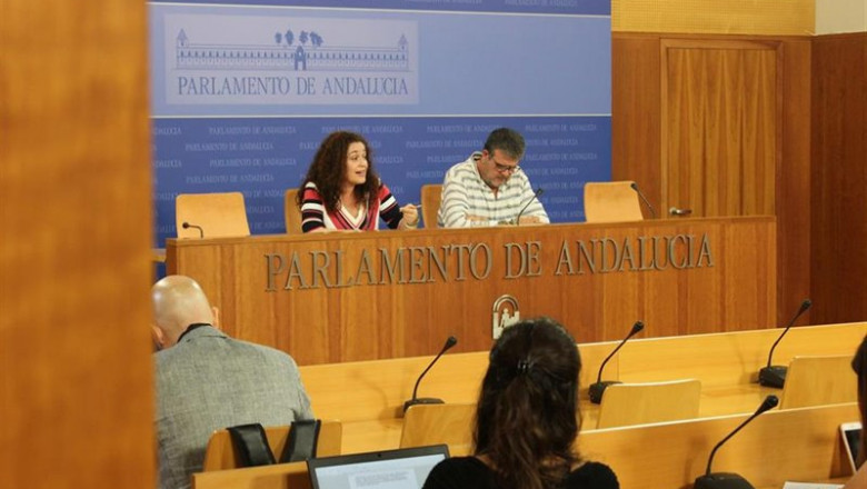 La portavoz del grupo parlamentario de Adelante Andalucía, Inmaculada Nieto, y el portavoz de la Comisión de Empleo, Nacho Molina, en reuda de prensa | ADELANTE ANDALUCÍA ep la portavoz del grupo parlamentario de adelante andalucia inmaculada nieto y el portavoz de la