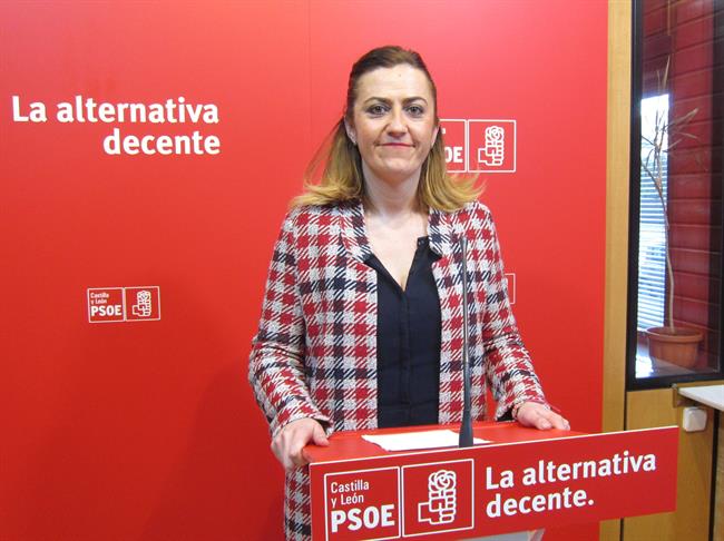La vicesecretaria general del PSOE en Castilla y León, Virgina Barcones | EUROPA PRESS - Archivo ep la vicesecretaria generalpsoecastillaleon virgina barcones
