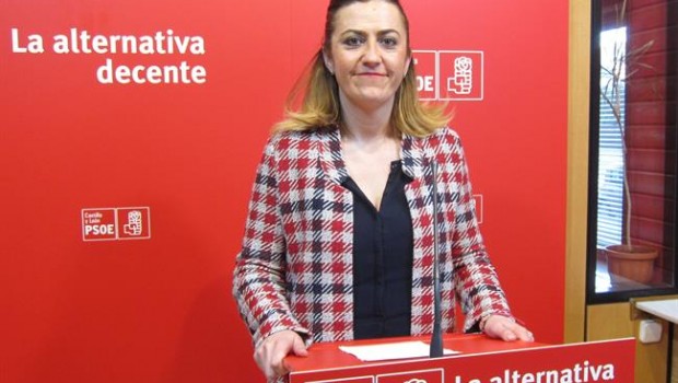 ep la vicesecretaria generalpsoecastillaleon virgina barcones