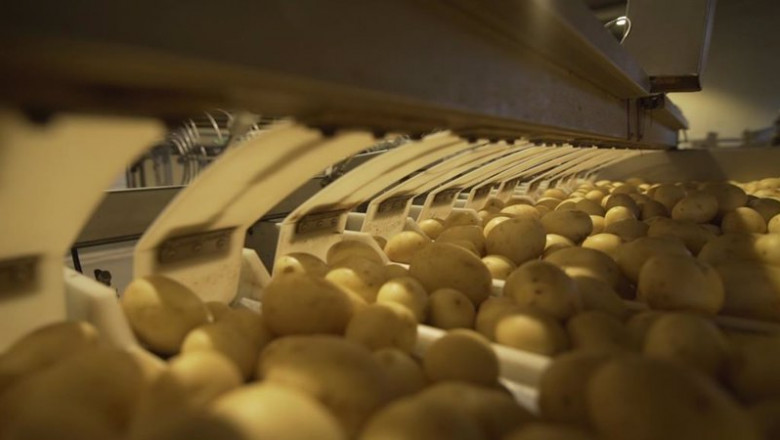 Patatas. | PM ep patatas