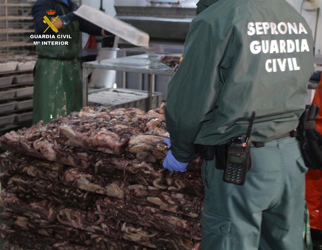 ep pulpo intervenidoayamonte huelva