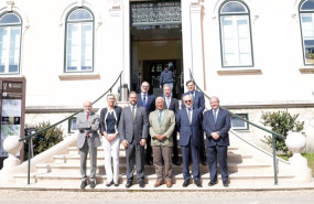ep repsol impulsa el mayor proyecto de reforestacion en portugal para plantar mas de 90 millones de ep repsol impulsa el mayor proyecto de reforestacion en portugal para plantar mas de 90 millones de