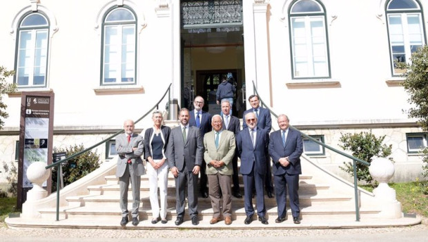 ep repsol impulsa el mayor proyecto de reforestacion en portugal para plantar mas de 90 millones de