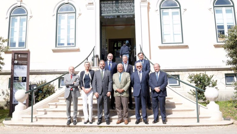 ep repsol impulsa el mayor proyecto de reforestacion en portugal para plantar mas de 90 millones de ep repsol impulsa el mayor proyecto de reforestacion en portugal para plantar mas de 90 millones de