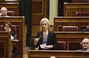 ep rosa diez portavoz de upyd en el congreso