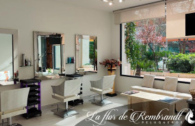 la flor de rembrandt la flor de rembrandt