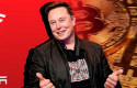 musk tesla bitcoin portada musk tesla bitcoin portada