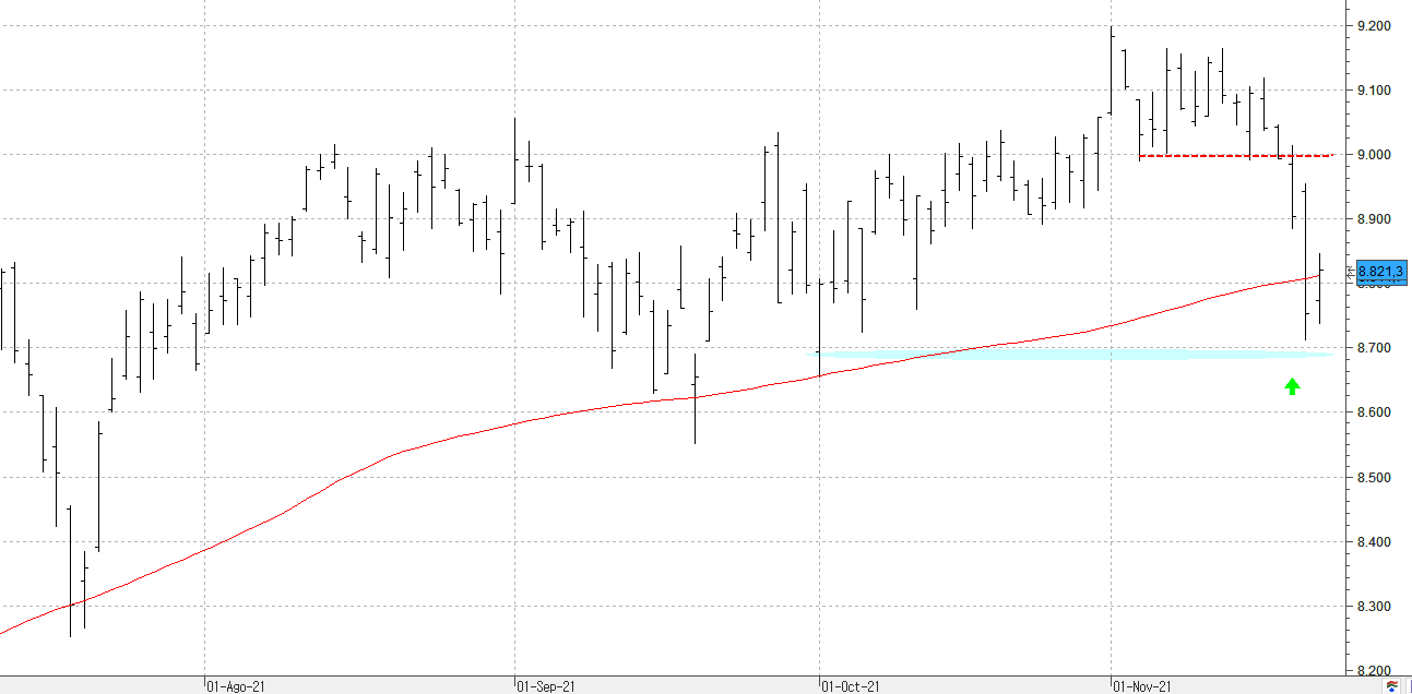 c221121ibex