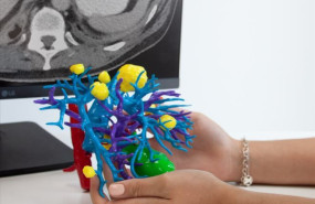 cella medical solutions   decisiones compartidas   3