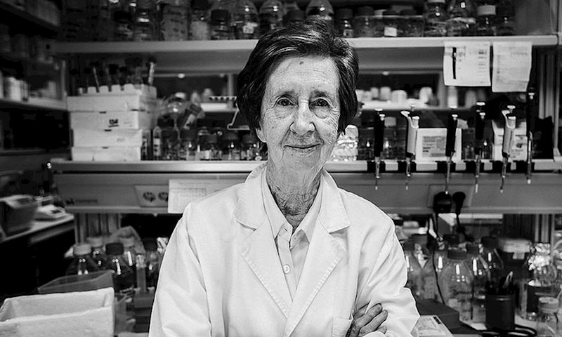 ep 2018 salas ha muerto hoy en madrid espana a los 80 anos a 7 de noviembre de 2019