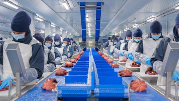 ep archivo imagen de una factoria de profand en vilagarcia pontevedra ep archivo imagen de una factoria de profand en vilagarcia pontevedra