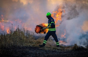 ep incendio forestal 20251126164704