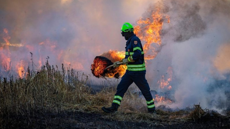 ep incendio forestal 20251126164704