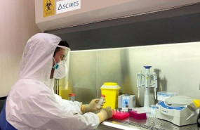 ep investigadores espanoles crean un test genetico capaz de detectar contagios en menos de 3 horas