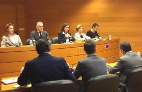 ep lusi barcenes comparecelas corts valencianes