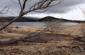 ep ramas de arboles secas en el embalse de navacerrada debido a la sequia
