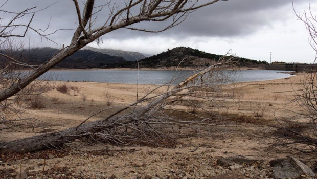 ep ramas de arboles secas en el embalse de navacerrada debido a la sequia