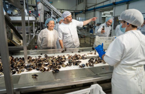 ep villaverde esta manana en cangas