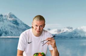 haaland copy sullivan dan seafood web haaland copy sullivan dan seafood web