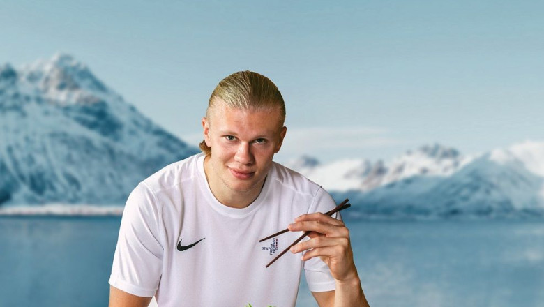 haaland copy sullivan dan seafood web