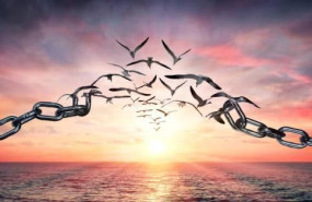 photo 2024 02 05 09 43 23 photo 2024 02 05 09 43 23