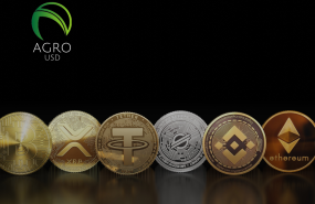 portada ndp portada ndp