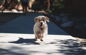 1574756294 andrew schultz dtsdd968mpw unsplash