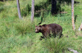 1626884837 captura de pantalla 2021 07 21 a les 182554