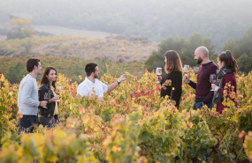 bodegas obergo frescura y elegancia en los vinos blancos del somontano 1