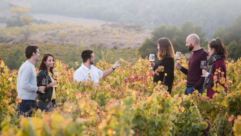 bodegas obergo frescura y elegancia en los vinos blancos del somontano 1