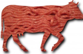 carne roja oms
