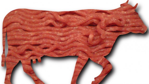 carne roja oms